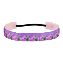 コアラおよび蘭