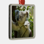 コアラかわいこちゃん メタルオーナメント (右)