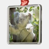 コアラかわいこちゃん メタルオーナメント (左)