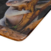 コアラがツリーグレーでかわいい カッティングボード (角)