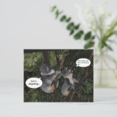 コアラのおもしろい ポストカード (スタンド正面)