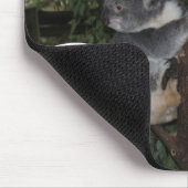 コアラのおもしろい マウスパッド (コーナー)