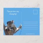 コアラのような素敵な誕生日を、面白い青いポストカード ポストカード (裏面)