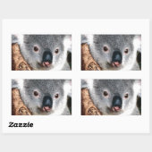 コアラのオーストラリアのかわいい奥地に国動物 長方形シール (シート)