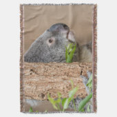 コアラのヘッドショット スローブランケット (正面縦)