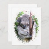 コアラの抱擁の招待状 招待状 (正面/裏面)