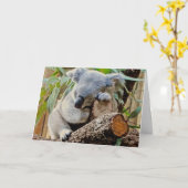 コアラの睡眠はよく得ます カード (黄色い花)