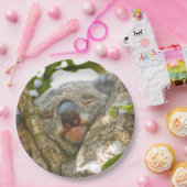 コアラの紙皿 ペーパープレート (パーティー)