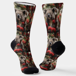 「コアラの退却:赤いバンクシアの木に隠れた」 ソックス