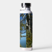 コアラはガムの木で眠っていた。 ウォーターボトル (右面)