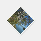 コアラはガムの木で眠っていた。 スタンダードカクテルナプキン (角)