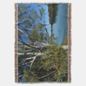 コアラはガムの木で眠っていた。 スローブランケット (正面縦)