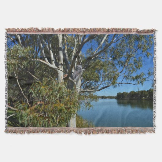 コアラはガムの木で眠っていた。 スローブランケット (正面)