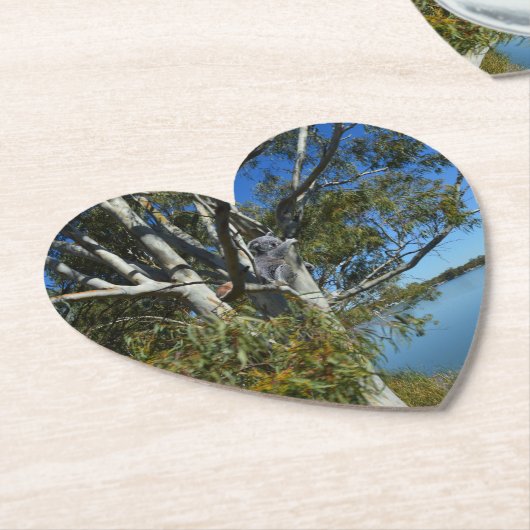 コアラはガムの木で眠っていた。 ペーパーコースター (アングル)