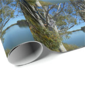 コアラはガムの木で眠っていた。 ラッピングペーパー (ロールコーナー)