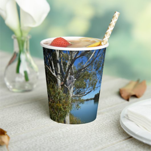 コアラはガムの木で眠っていた。 紙コップ (インサイチュ)