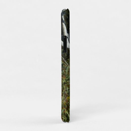 コアラはガムの木で眠っていた。 Case-Mate iPhoneケース (裏面/右)