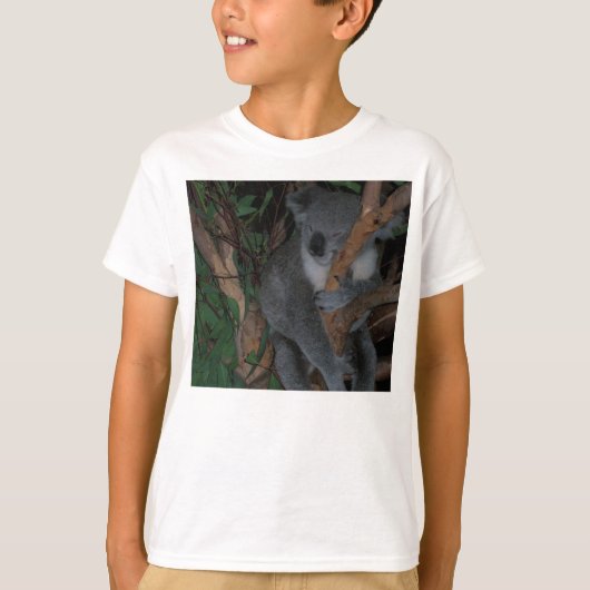 コアラはワイシャツをからかいます Tシャツ (正面)