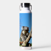 コアラは人生について考える時間を持っている。 ウォーターボトル (正面)