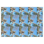 コアラは人生について考える時間を持っている。 テーブルクロス (正面(横))