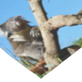 コアラは人生について考える時間を持っている。 テーブルクロス (アングル)