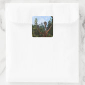 コアラは木々の中で眠っていた。 スクエアシール (バッグ)