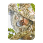 コアラへの感謝 マグネット (縦)