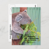 コアラやさしさ引用文はがき ポストカード (正面/裏面)