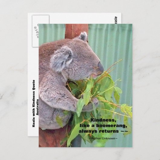 コアラやさしさ引用文はがき ポストカード (正面/裏面)