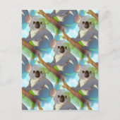 コアラを採用して下さい! ポストカード (正面)