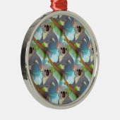 コアラを採用して下さい! メタルオーナメント (右)