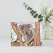 コアラオーストラリア | A6はがき ポストカード (スタンド正面)