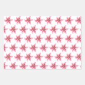 コアラキッズラッピング紙フラットシートセット3 ラッピングペーパーシート (正面3)