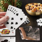 コアラケダス トランプ (インサイチュ)