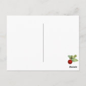 コアラスクリスマスポストカード ポストカード (裏面)