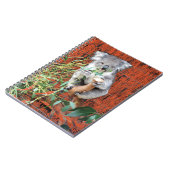 コアラスナックタイムスパイラルノート ノートブック (左側)