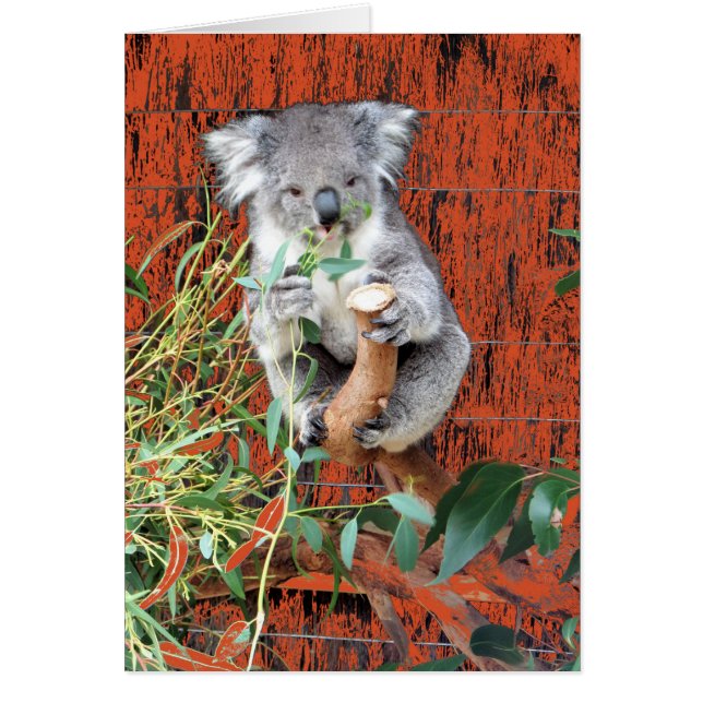 コアラスナック時間 (正面)