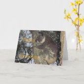 コアラハギングツリー誕生日カード カード (黄色い花)