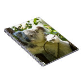 コアラベアオーシュサファリピースラブ自然運命 ノートブック (右側)