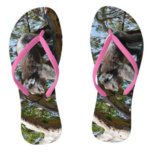 コアラベアキャットウォーク、ビーチサンダル ビーチサンダル