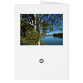 コアラベアスリープインガム誕生日 (裏面)