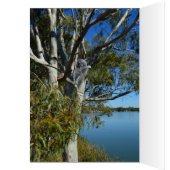 コアラベアスリープインガム誕生日 (内側 (左))