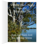 コアラベアスリープインガム誕生日 (内側 (右))