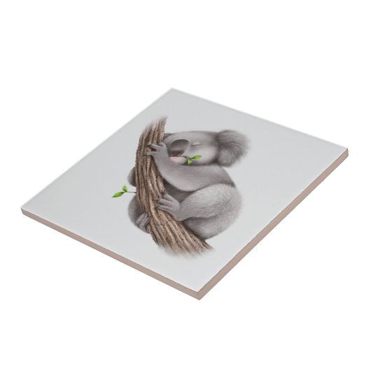 コアラベアスリープ タイル (側面)