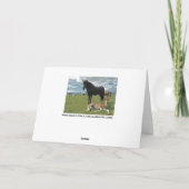 コアラベアズ カード (裏面)