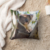 コアラベアーインツリー装飾動物装飾用クッション クッション (ブランケット)