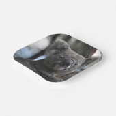 コアラベアーインツリー ペーパープレート (傾斜あり)