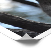 コアラベアーインツリー ポスター (角)