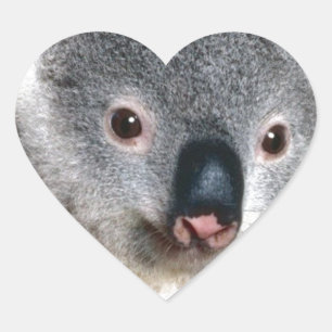 コアラベアーオーストラリアのアウトバックカントリー動物かわいい ハートシール