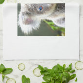 コアラベアーズ キッチンタオル (折り畳み)